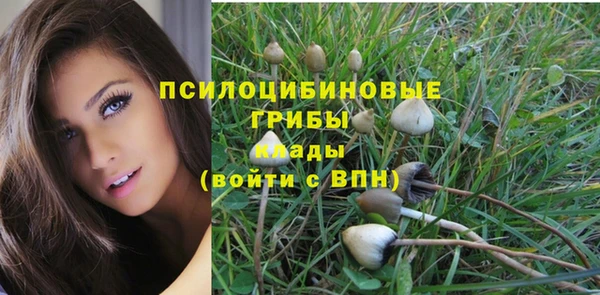 мяу мяу мука Аркадак