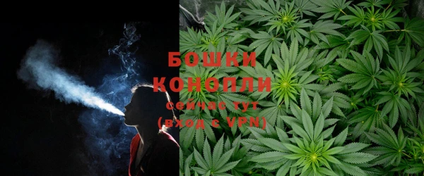 мяу мяу мука Аркадак